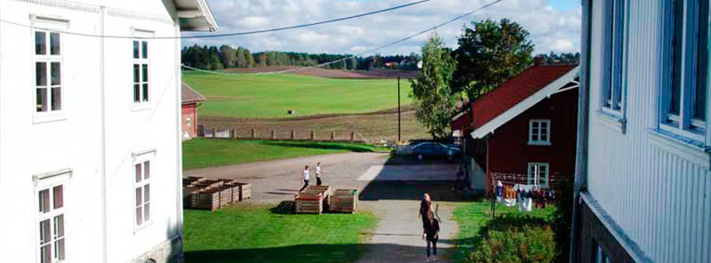 Land 6