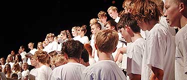 Orkester8